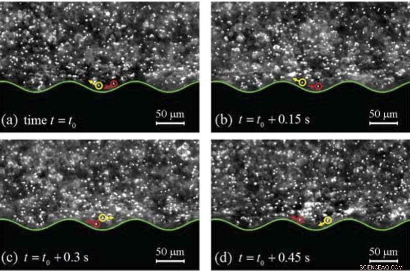 Elastic Fluids Over Wavy Surfaces: Flow Patterns and Phase Diagrams