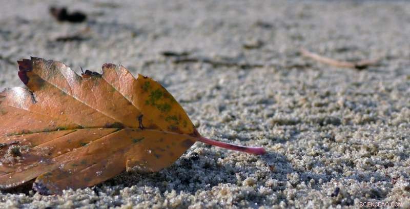 Could Quark Interactions Shape the Fabric of Spacetime?