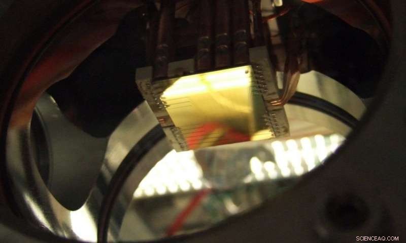 Quantum Systems: Identical Behavior Across Universality Classes