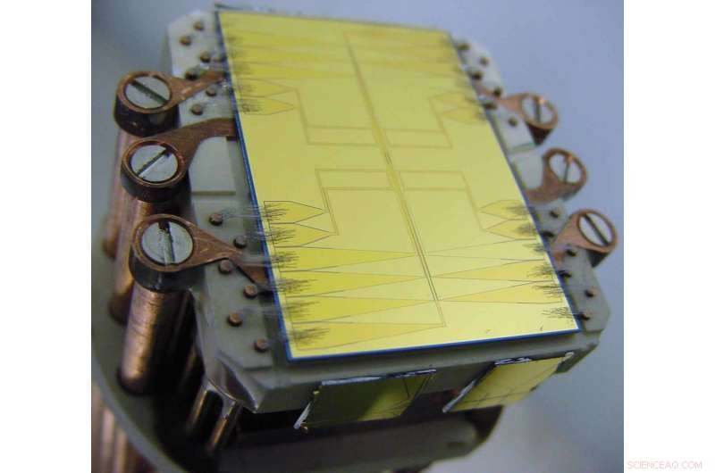 Quantum Systems: Identical Behavior Across Universality Classes