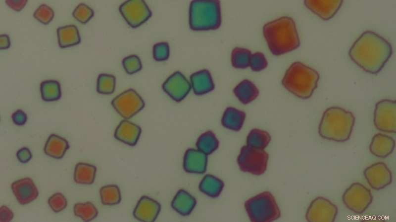 Sandwich-structured Nanocrystal Superlattices: A Reliable Quantum Light Source