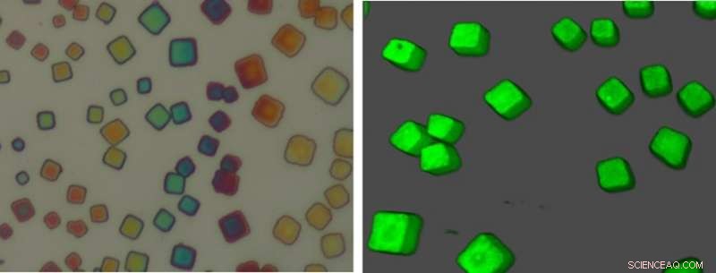 Sandwich-structured Nanocrystal Superlattices: A Reliable Quantum Light Source