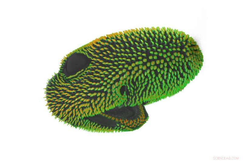 Alan Turing’s Pattern Theory Deciphers the Unique Scaling of Sharks