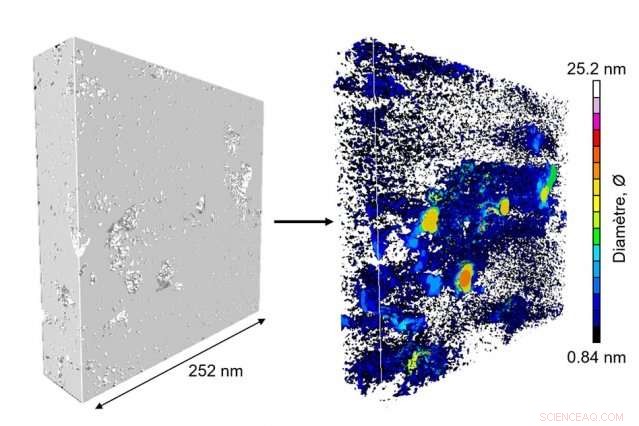 Decoding the Internal Structure of Fossil‑Fuel Source Rocks
