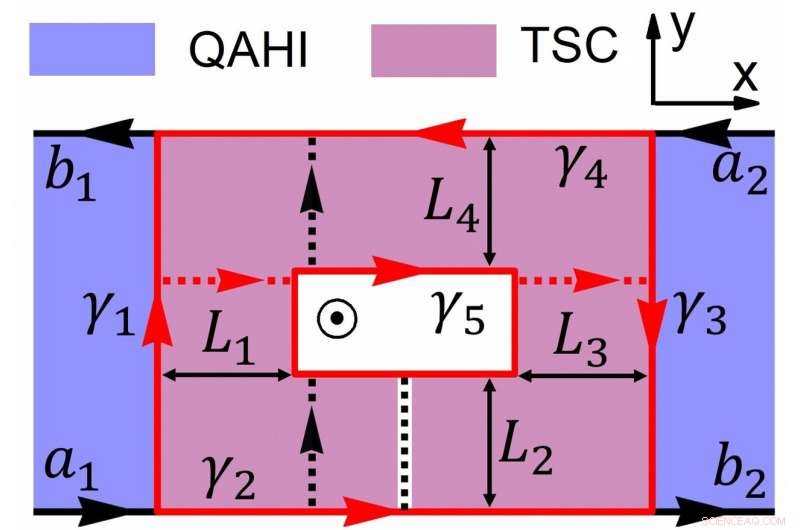 Magnetic Control of Chiral Majorana Fermion Transport in Quantum Anomalous Hall Systems