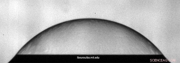 How Bursting Bubbles Release Bacteria from Water into the Air