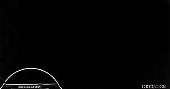 How Bursting Bubbles Release Bacteria from Water into the Air