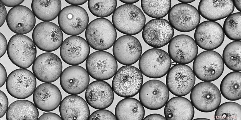 Designer Emulsions: Tailored Particle-Stabilized Droplets