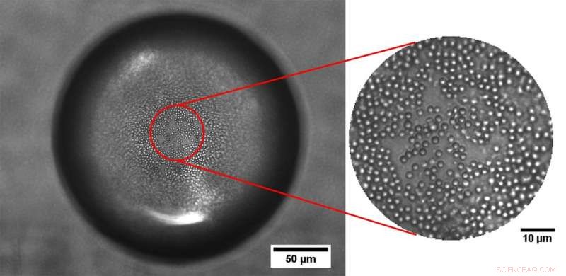 Designer Emulsions: Tailored Particle-Stabilized Droplets