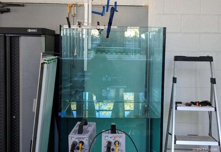 Minimizing Water Entry Impact Forces: Techniques & Research Insights