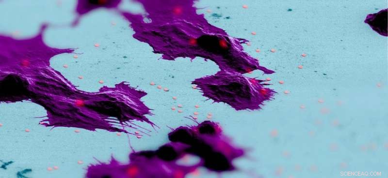 Nano-Laser Technology Illuminates Immune Cells