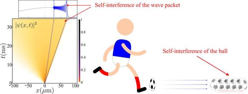 Unveiling the Effects of Negative Mass: A Comprehensive Analysis