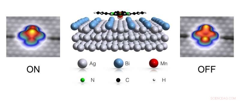 How Environmental Factors Turn a Molecule into a Switch