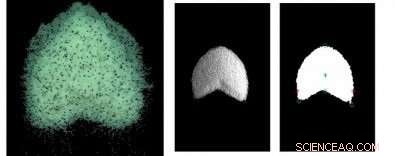 New Research Uncovers Key Dynamics of Crescent Dune Formation