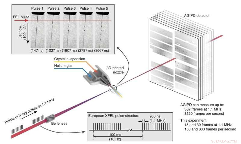 Revolutionary Flow Focusing Technology Enables First Experiment at the World’s Most Powerful X‑ray Source