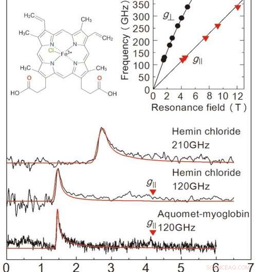 Revolutionary Technique Enhances Metalloprotein Analysis