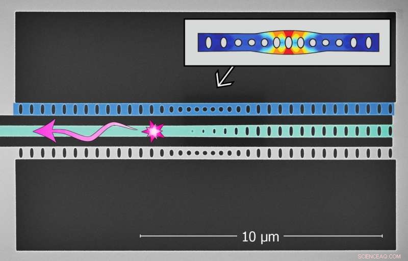 Exploring Quantum Physics Beyond the Microscopic: Investigating Macroscopic Phenomena