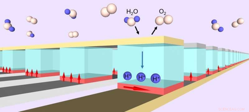 Harnessing Hydrogen Ions to Tailor Molecular-Scale Magnetism