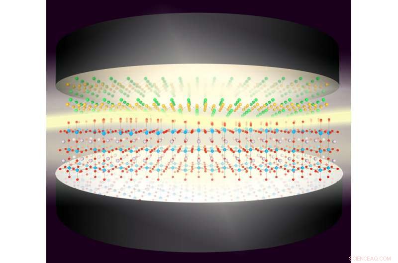 Exploring Vacuum Fluctuations: Light‑Matter Interactions in Optical Cavities