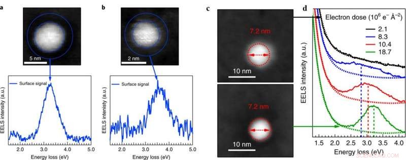 Interface-Driven Plasmonic Quantum Size Effects in Silver Nanoparticles
