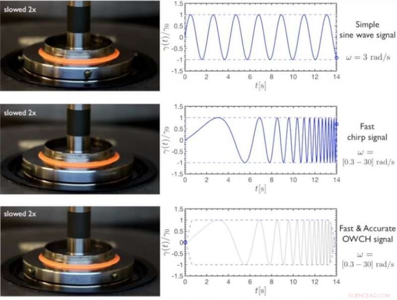 Dolphin Chirp‑Based Method Boosts Precision in Soft Material Testing
