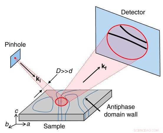 Mapping Antiferromagnetic Domains with Coherent X-ray Reflectometry