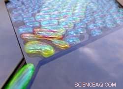 Engineers Reveal How to Create Bidisperse Foam Using Microfluidic Bubbles