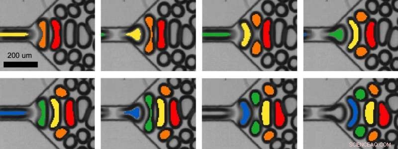 Engineers Reveal How to Create Bidisperse Foam Using Microfluidic Bubbles