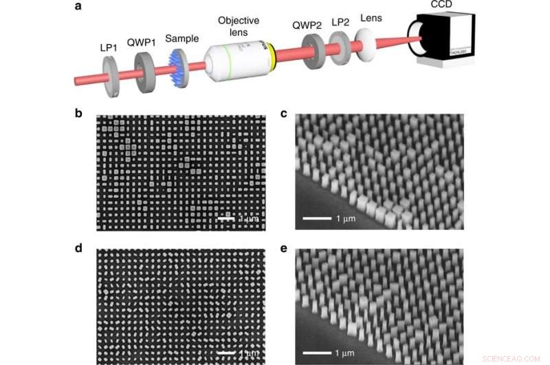 Advanced Multichannel Vectorial Holographic Display with Secure Encryption