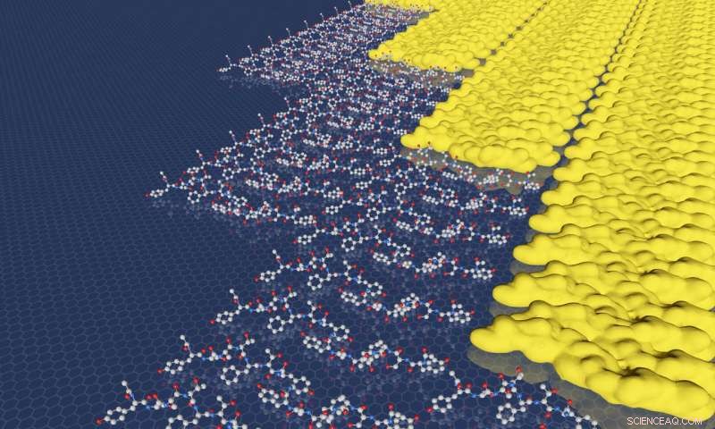 2D Materials Break Energy Barriers by Growing One Row at a Time