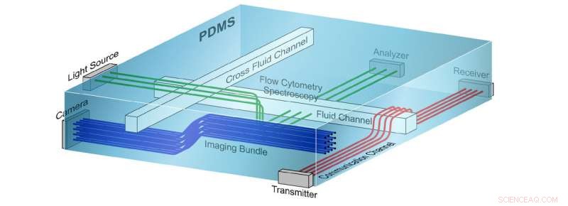 Tiny Light-Guiding Structures Pave the Way for Advanced Biomedical Devices and Wearable Displays