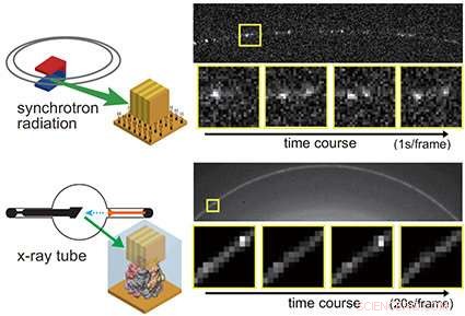 Accurate Single‑Molecule Dynamics Captured with Low‑Dose X‑Ray Techniques