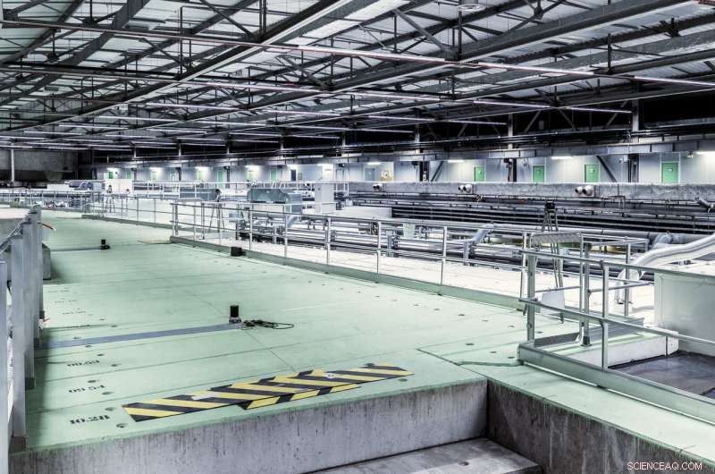 ESRF Suspends Operations to Upgrade Facility for Brighter Performance in 2020