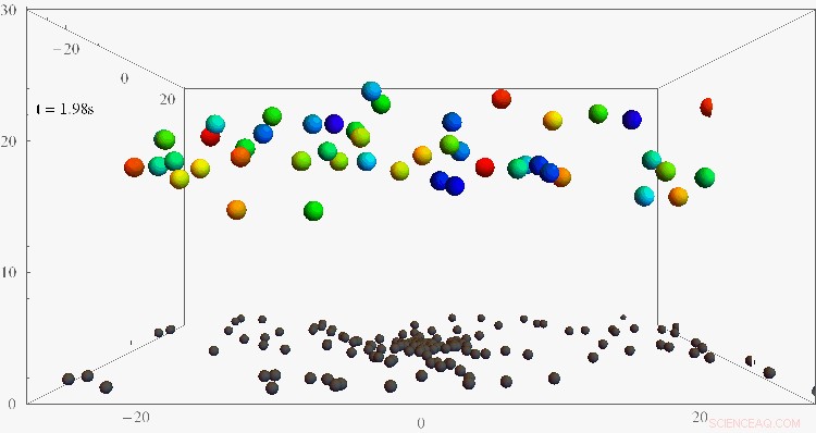 The Role of Bacterial Communities in Nutrient Transport