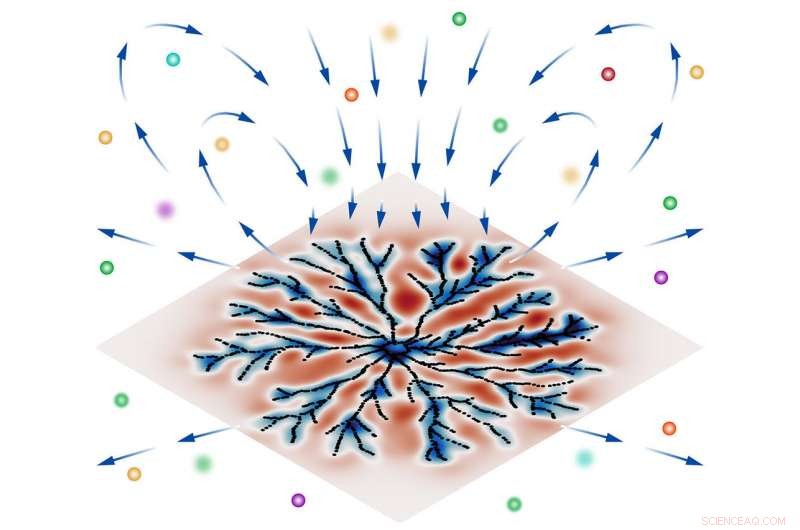 The Role of Bacterial Communities in Nutrient Transport