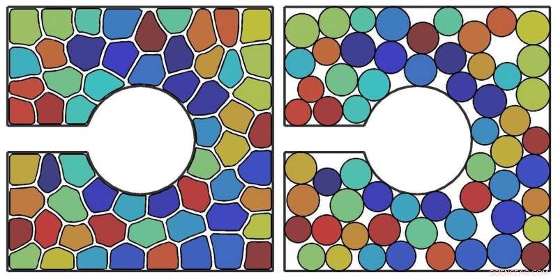 Scientists Unveil Shape‑Shifting Cell Breakthrough