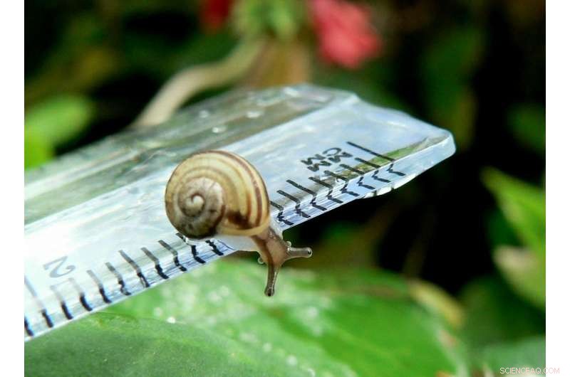 Understanding the Challenge of Accurately Measuring Reality