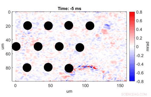 Researchers Develop Innovative Imaging Tool to Visualize Neuron Activity