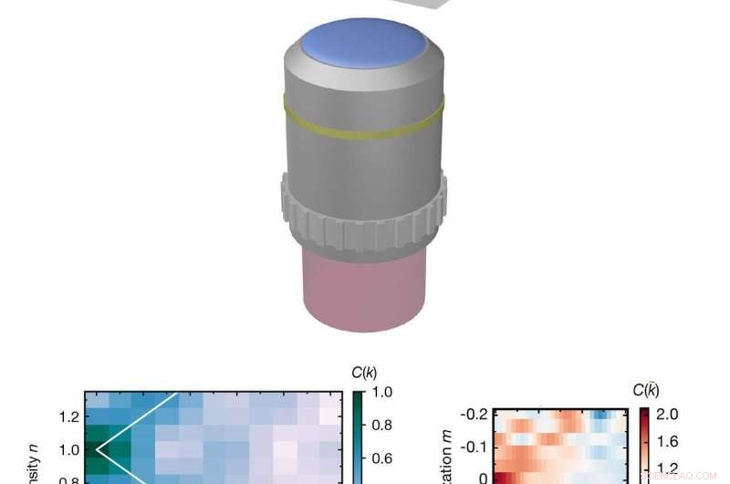 Revealing Stretched Quantum Magnetism Through Advanced Quantum Simulations