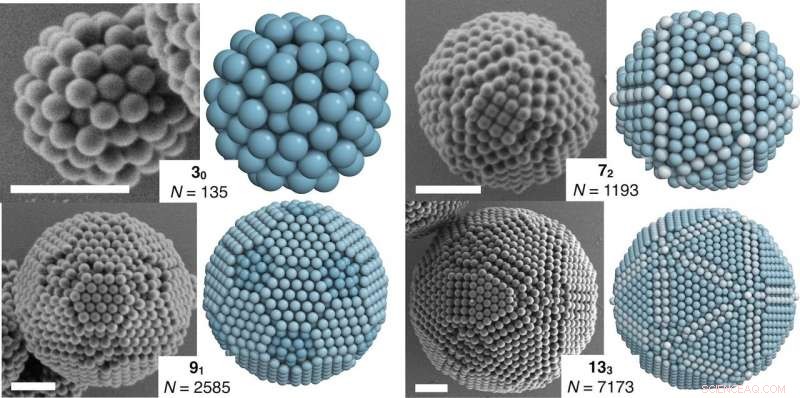 Magic-Number Colloidal Clusters: Unveiling Structural Order through Electron Microscopy