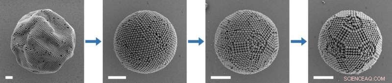 Magic-Number Colloidal Clusters: Unveiling Structural Order through Electron Microscopy