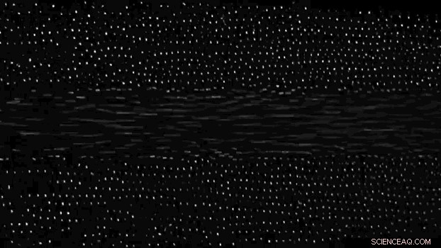 Space-Based Exploration of the Fourth State of Matter