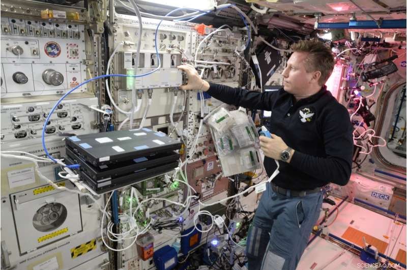 Space-Based Exploration of the Fourth State of Matter