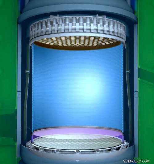 Brown University s LUX-ZEPLIN Dark Matter Detector Receives New Photomultiplier Array