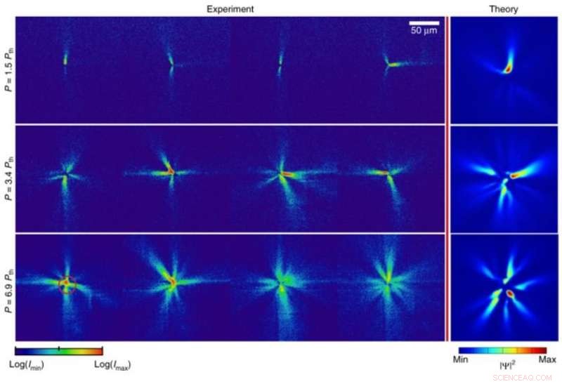 First Live Snapshot of Exciton-Polariton Condensation