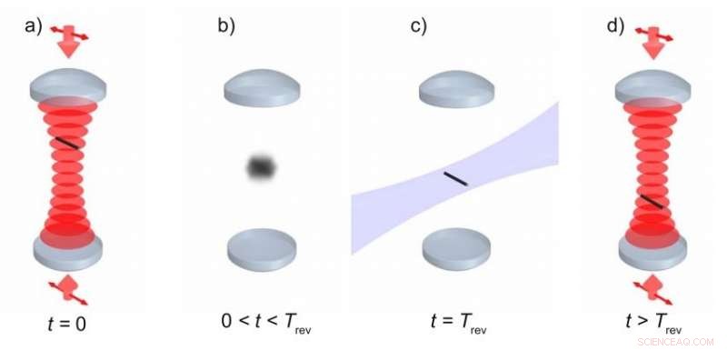 New Quantum Test Uses Rotors to Observe Superposition Revivals
