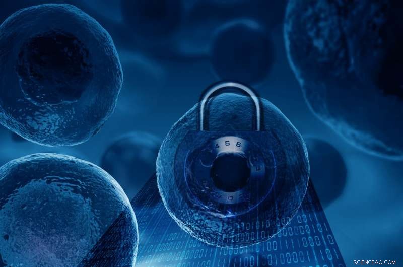 Enhanced Security Through Randomly Generated Biological Encryption Keys