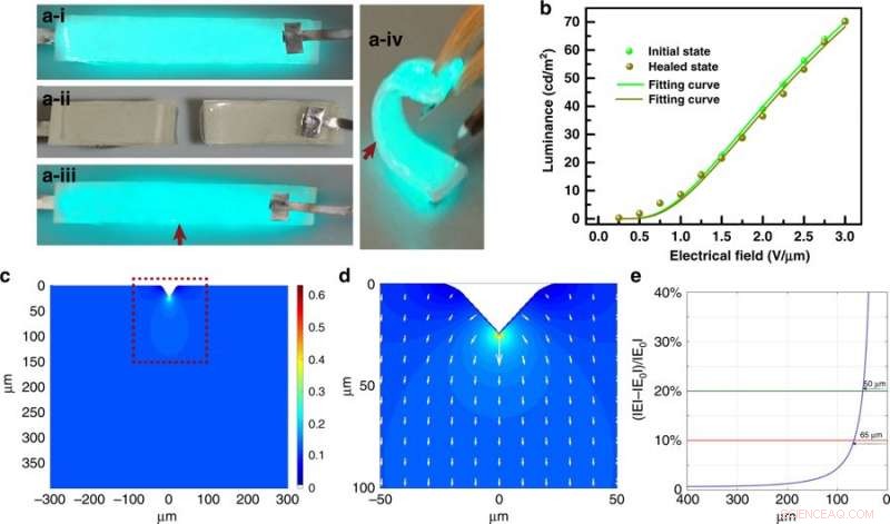 Advanced Self-Healing Electroluminescent Devices for Durable, High-Performance Lighting