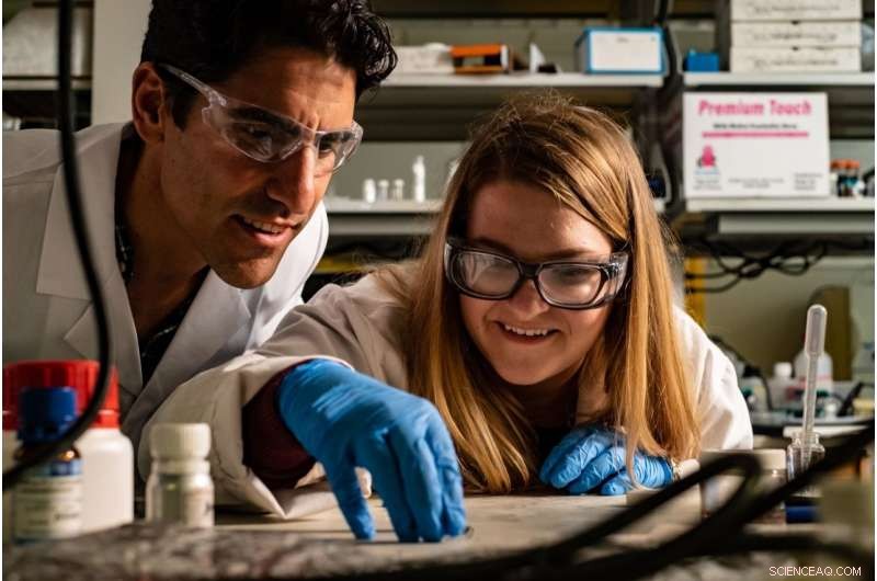 Shape‑Shifting Polymers: How Advanced Materials Mold and Transform Complex Forms