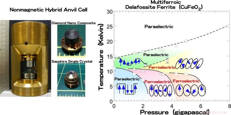 High‑Pressure 3‑D Neutron Polarization Analysis: Unveiling Magnetic and Dielectric Phase Transitions